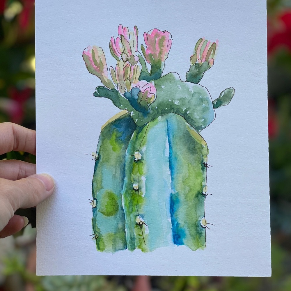 Gorgeous Succulent: Watercolor cactus print 8x10